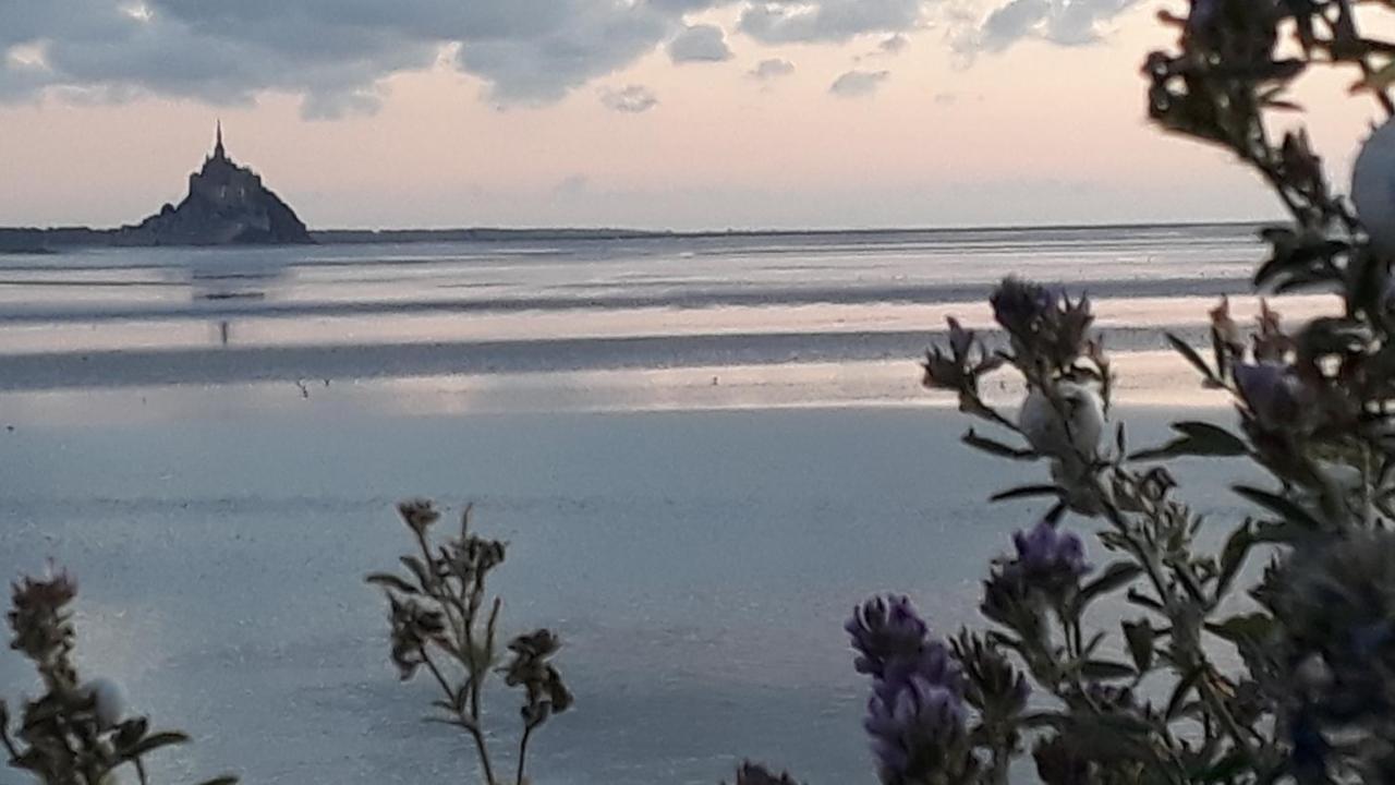 Gite La Bulle En Baie, Proche Mont Saint-Michel, Au Calme, Pour 4 Pers Crollon Eksteriør billede
